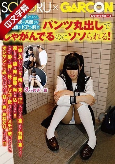 GS-321 酔っ払って帰ってくると、近所の亲が共动きな一人娘がドアの前でパンツ丸出しでしゃがんでるのにソソられる