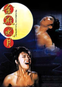 金瓶风月 金瓶风月
