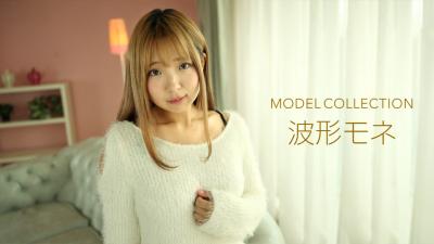 モデルコレクション波形うモネ. モデルコレクション波形うモネ.
