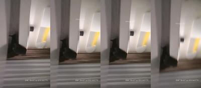 全国探花 200810 2020226125. 全国探花 200810 2020226125.